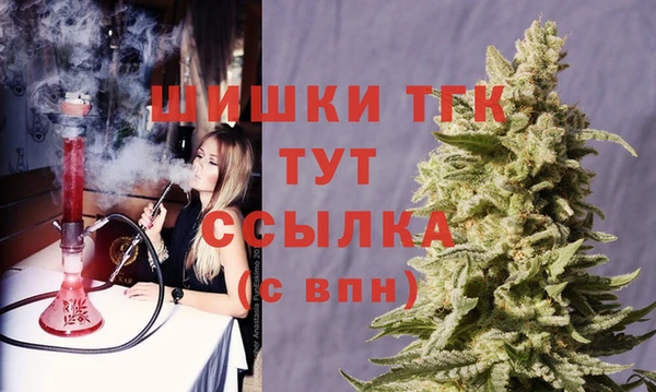 PSILOCYBIN Балахна