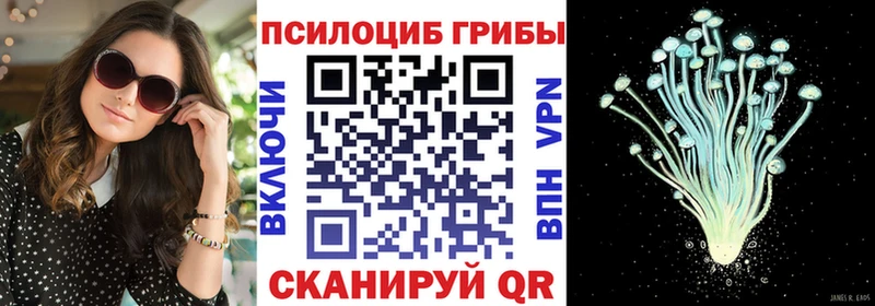 Галлюциногенные грибы Magic Shrooms  Ногинск 